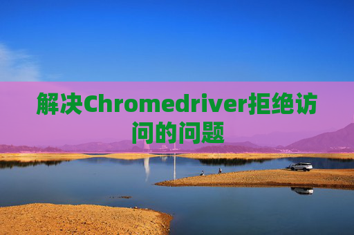 解决Chromedriver拒绝访问的问题